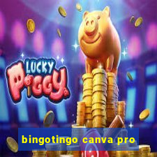 bingotingo canva pro